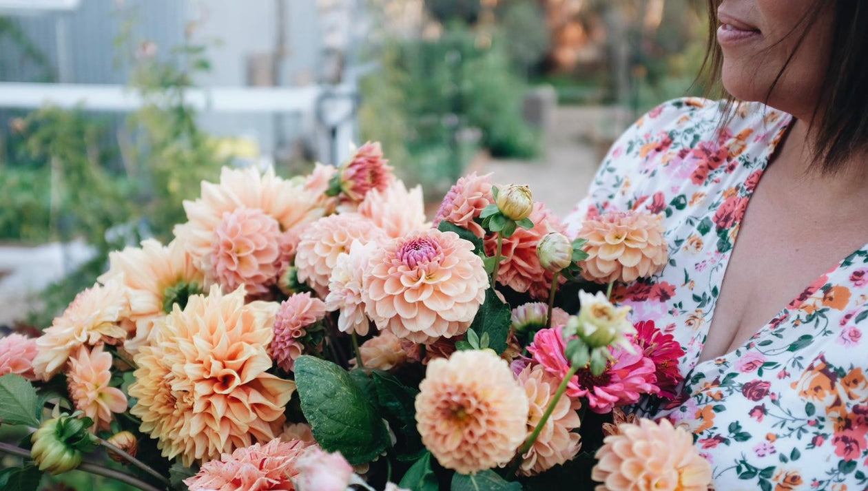 Spring Harvest Workshop Friday 26th Sept