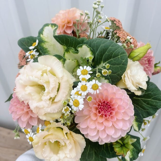 A Florist's Garden Apricot Dream Wrens Flower Farm